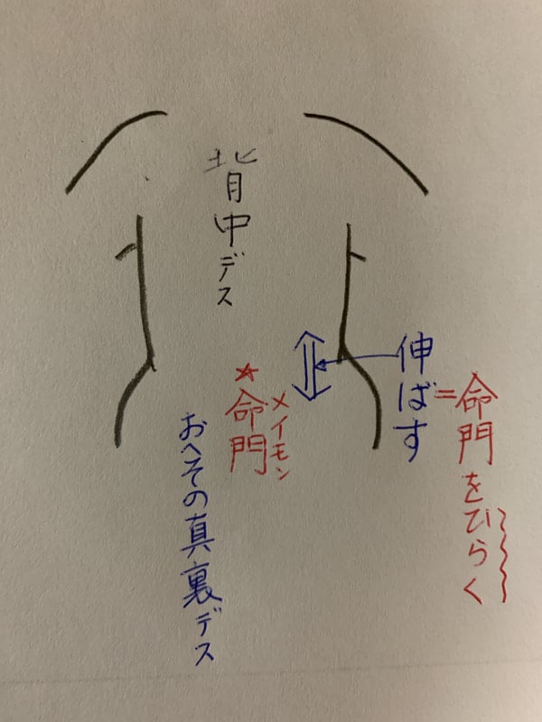 気功的座り方 かめの歩